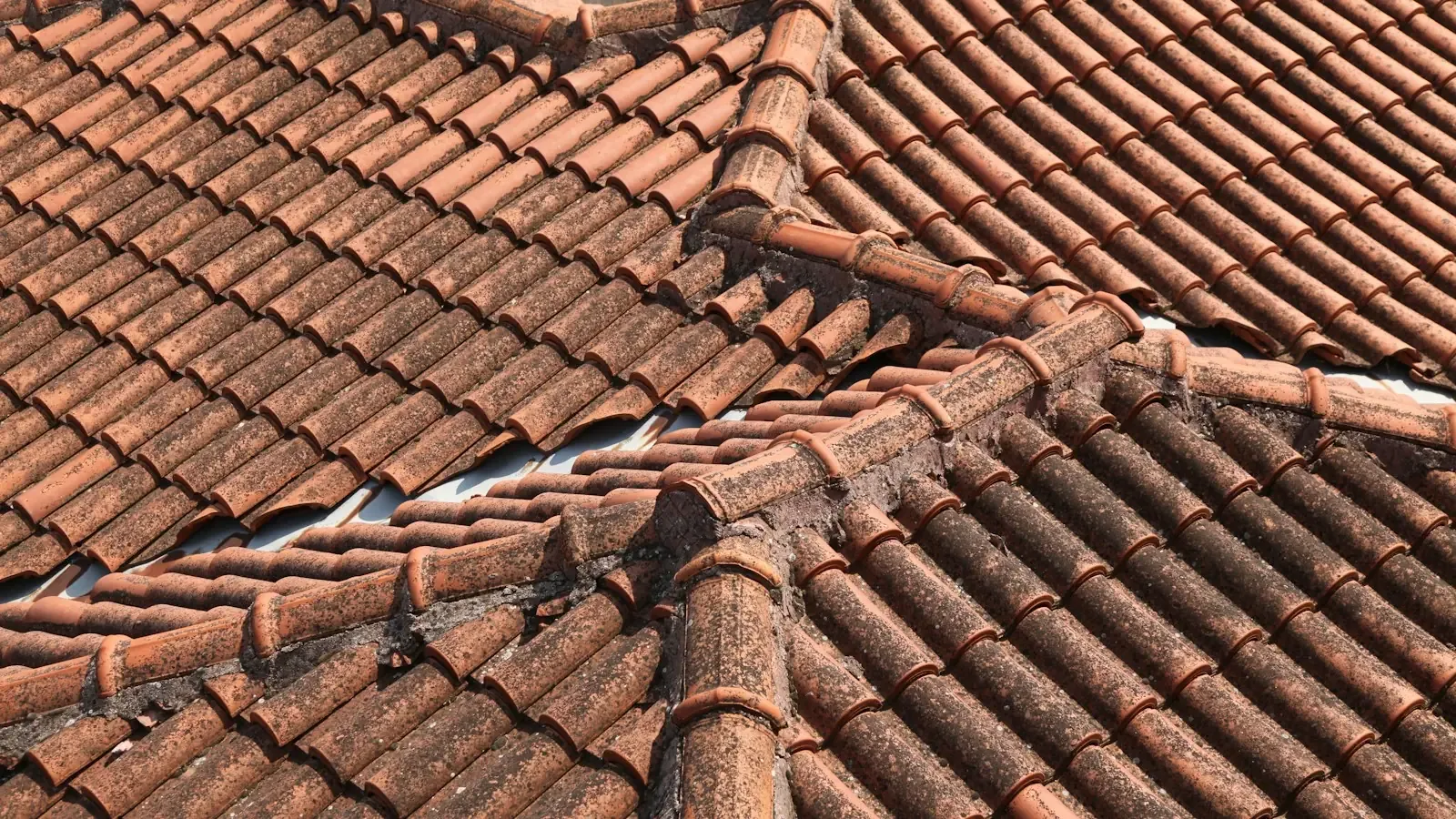 Metal Roofing